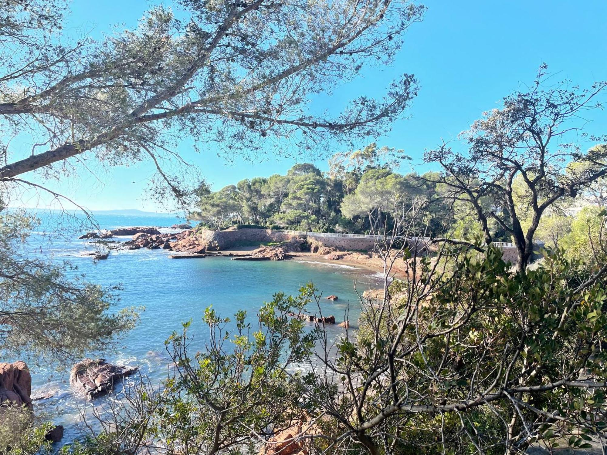 2 Pieces Saint Raphael Renove, Classe 4 Etoiles, 100 M Plages, Piscine, Tennis, Parc, Terrasse, Jardin Privatif エクステリア 写真